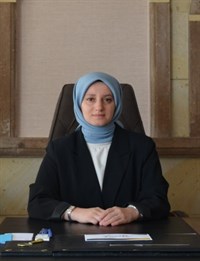 Derinkuyu Kaymakamı